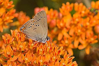 3DM速报：PS5新型号更轻但更热 《命运2邪姬魅影》Steam周销登顶